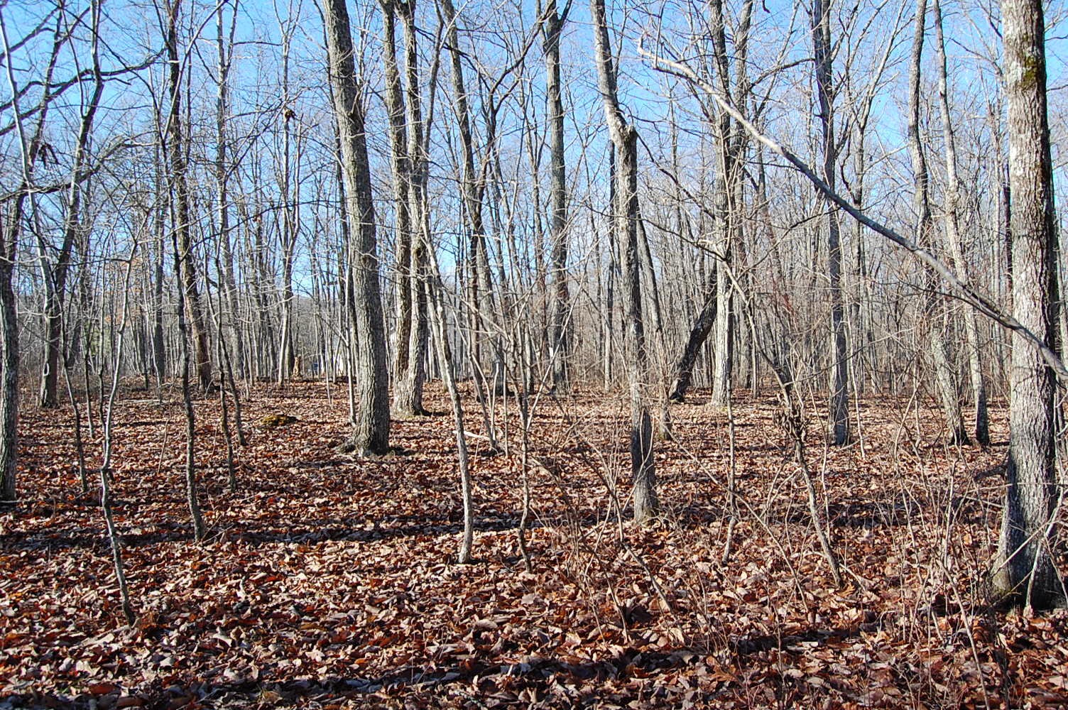 5 Davis Cemetery Road Dunlap, TN 37327 - Photo 17 of 22 Gallery Image 17