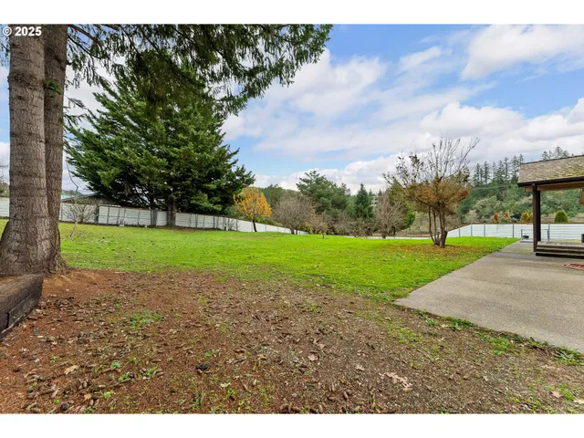 a view of backyard with green space
