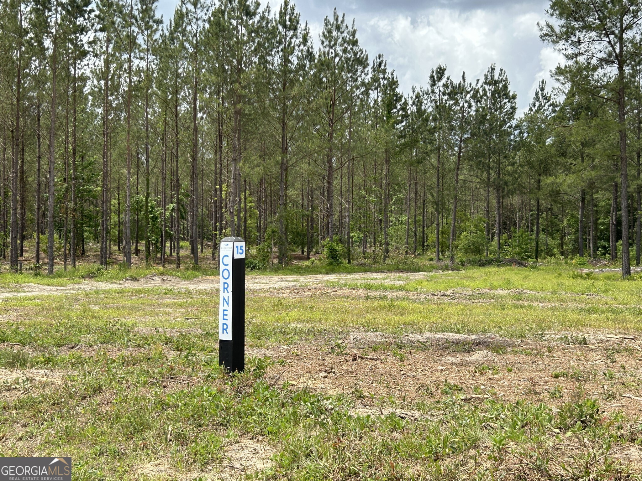0 Dewey Thomas Road, Unit LOT 15 Dexter, GA 31019 - Photo 12 of 14 a view of a park with large trees