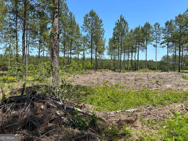 a street view with yard