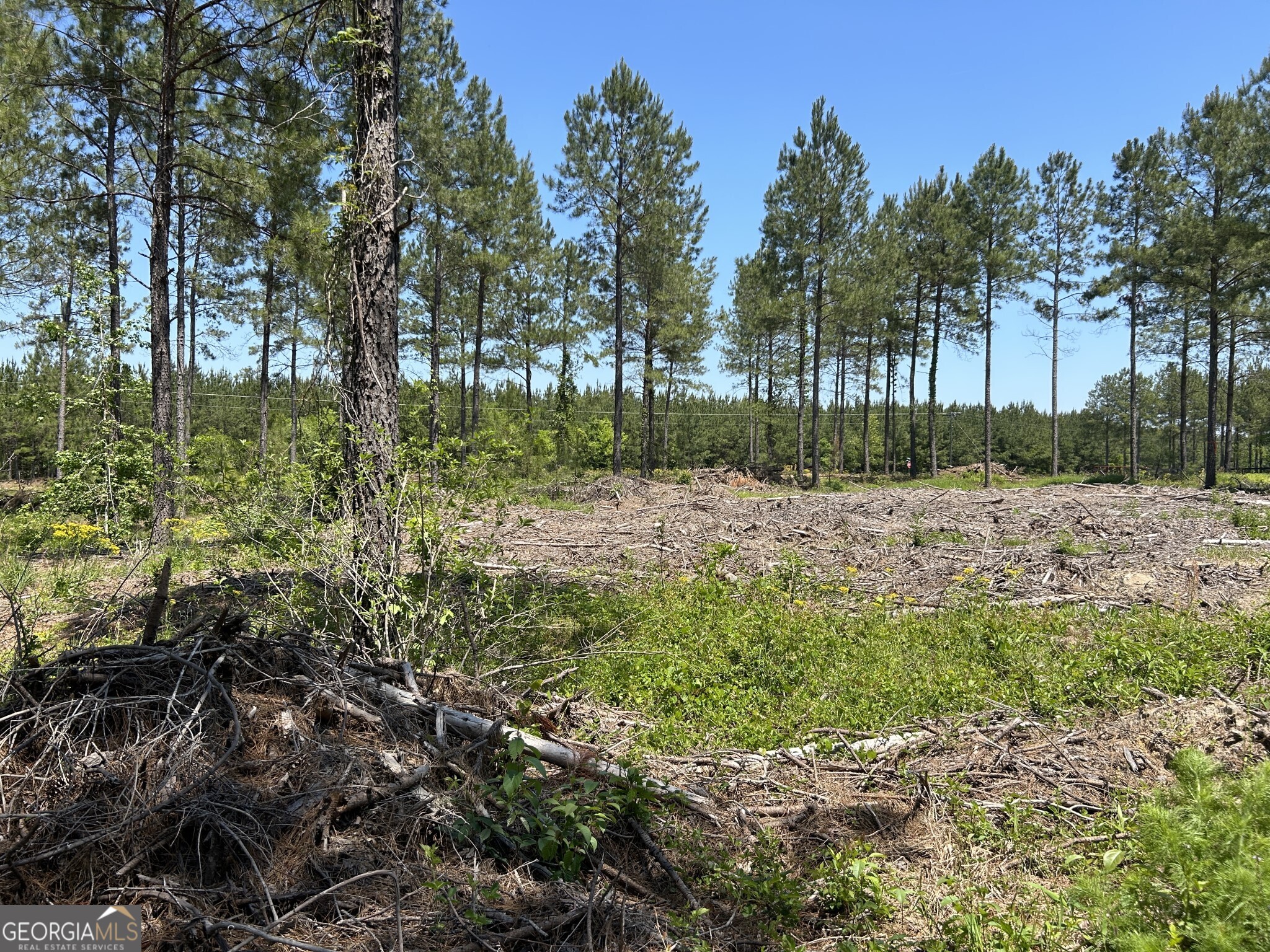 0 Dewey Thomas Road, Unit LOT 15 Dexter, GA 31019 - Photo 2 of 14 a street view with yard