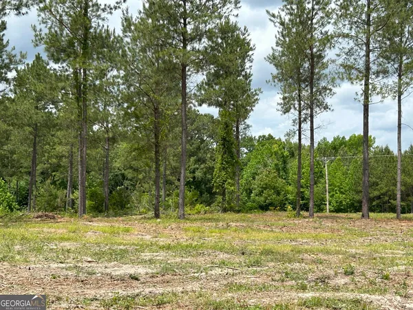 a view of a yard with a trees