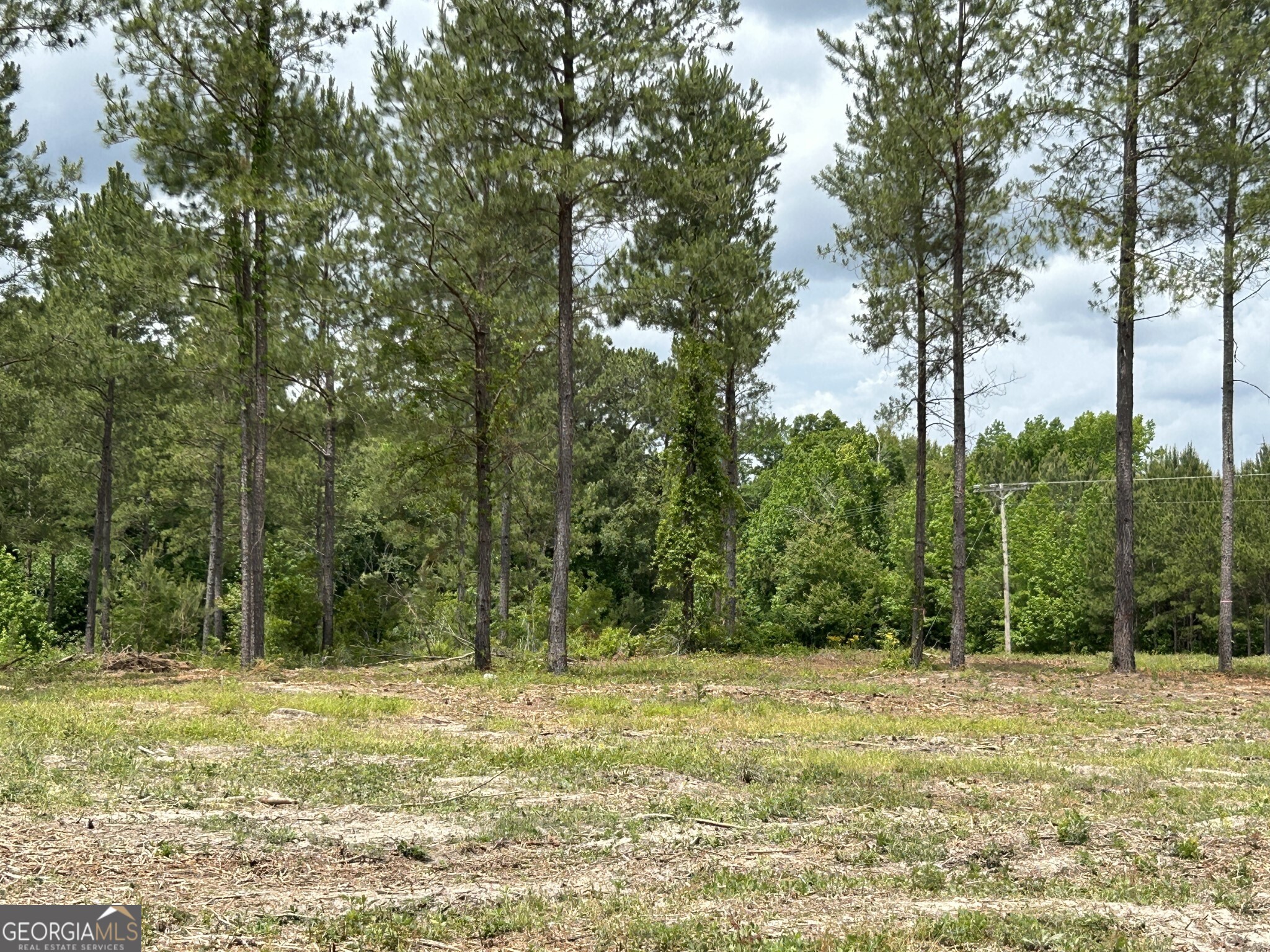 0 Dewey Thomas Road, Unit LOT 15 Dexter, GA 31019 - Photo 6 of 14 a view of a yard with a trees