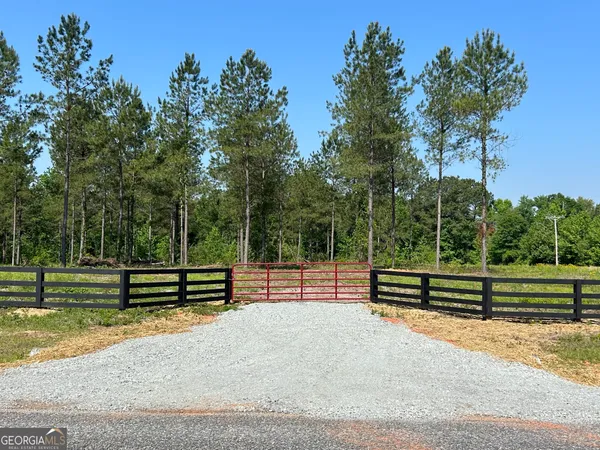 a view of a bench in a yard