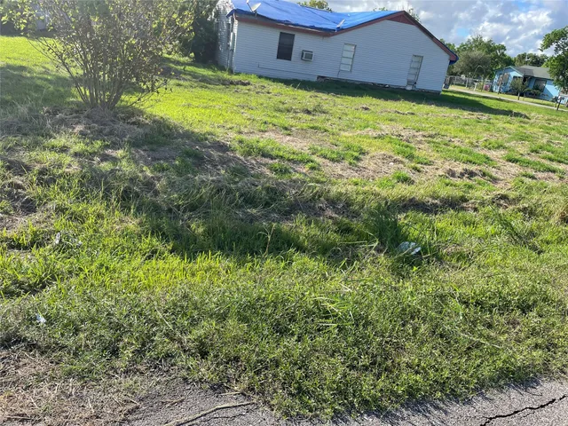 a backyard of a house with a yard and large tree