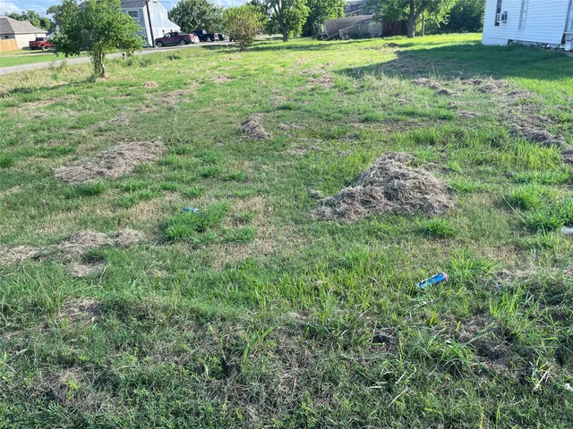 a view of a lush green space