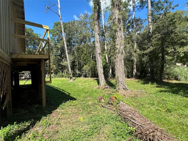 a view of a park with large trees