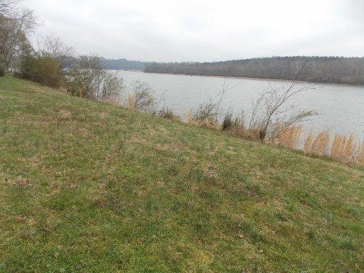 489 Huffs Ferry Road Loudon, TN 37774 - Photo 20 of 23 22 - Copy