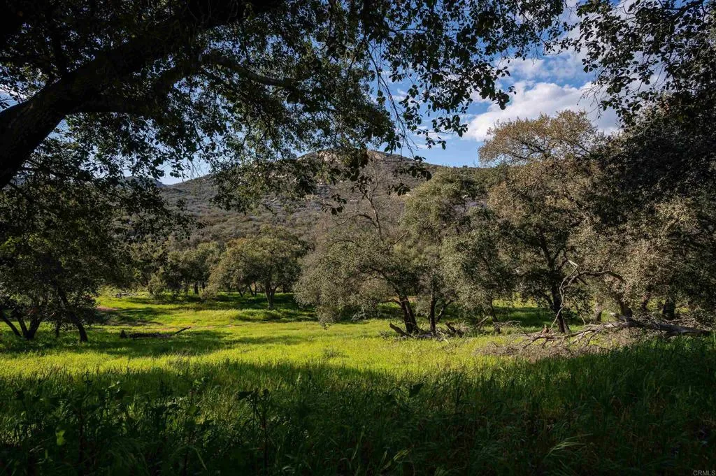 26086 Bear Valley Heights Road Valley Center, CA 92082 - Photo 63 of 65 a view of a field with a tree