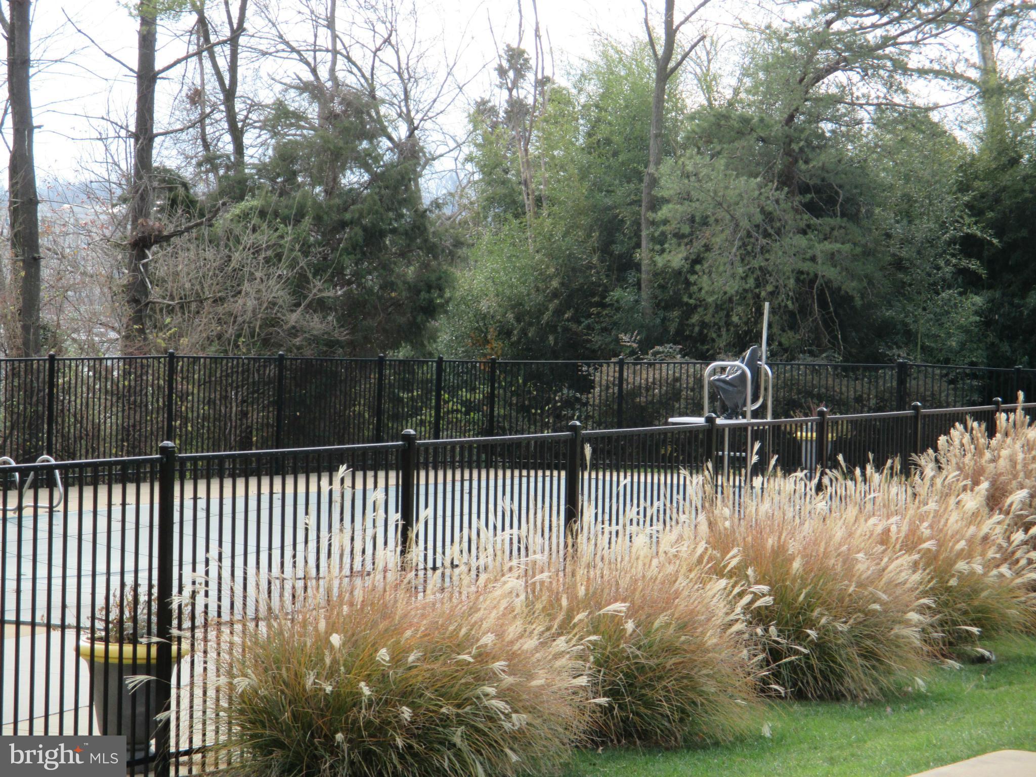 6260 Edsall Road, Unit 403 Alexandria, VA 22312 - Photo 3 of 15 a view of river covered with trees in the background