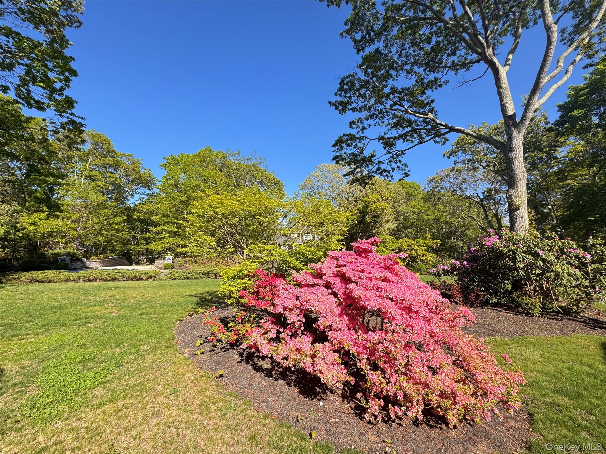 3 Debbie Trail Hampton Bays, NY 11946 - Photo 13 of 29 View of green lawn