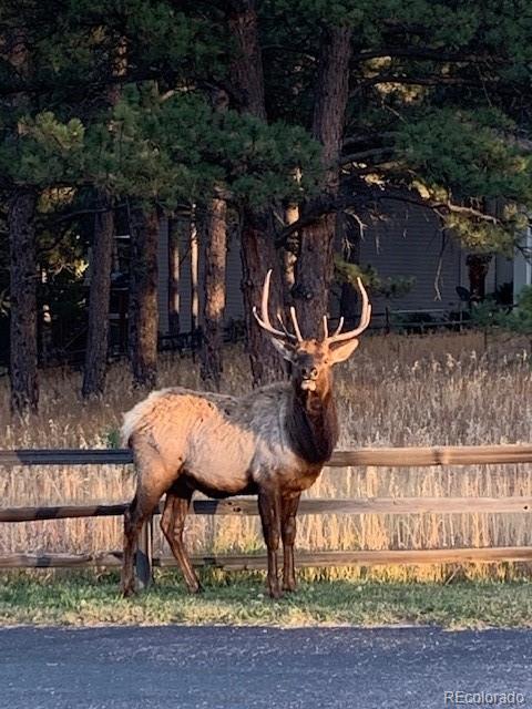 34 Normandy Road Evergreen, CO 80439 - Photo 43 of 45