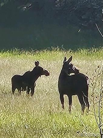 34 Normandy Road Evergreen, CO 80439 - Photo 44 of 45