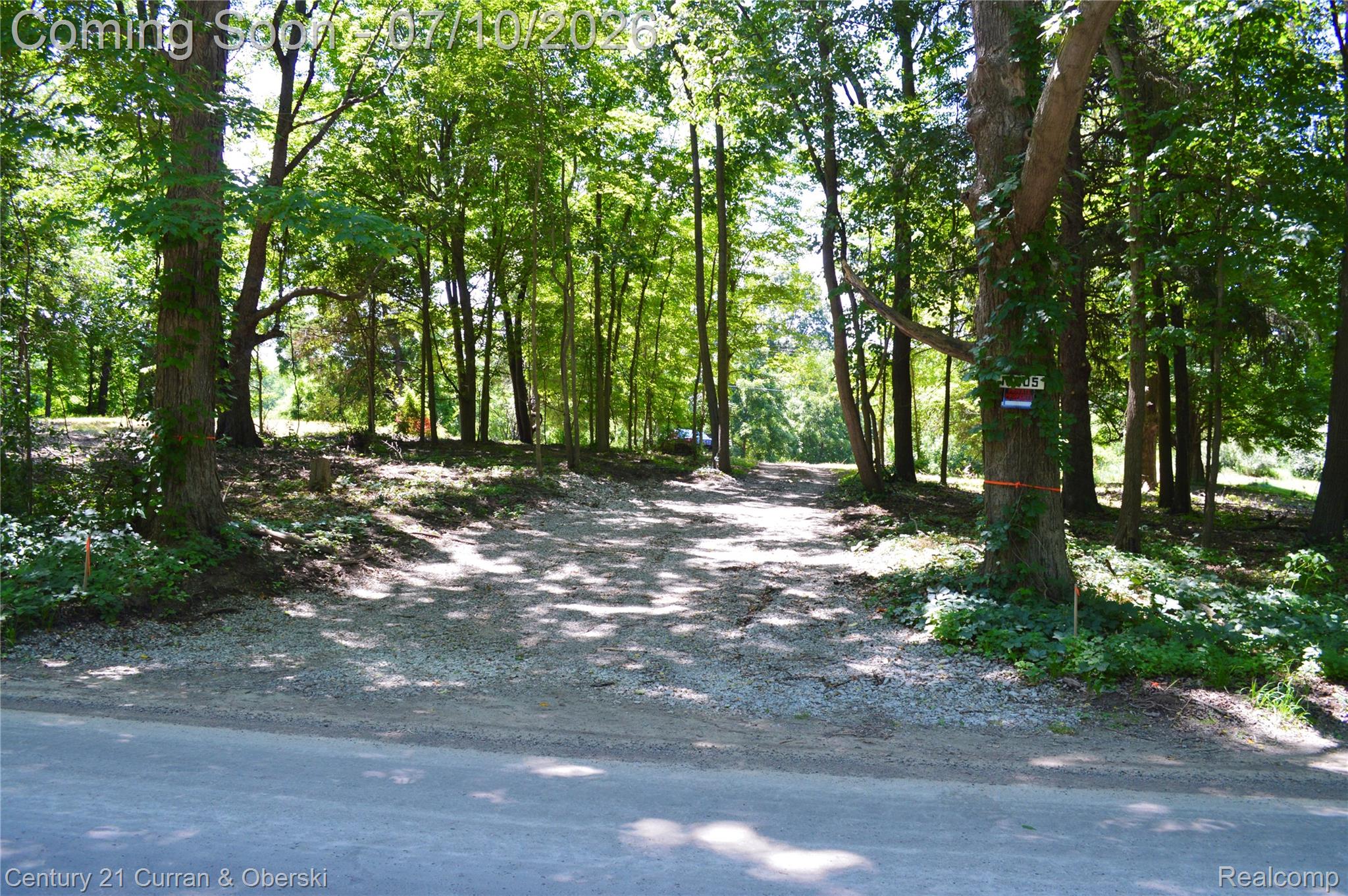 13505 Island Lake Road Chelsea, MI 48118 - Photo 14 of 23 Driveway