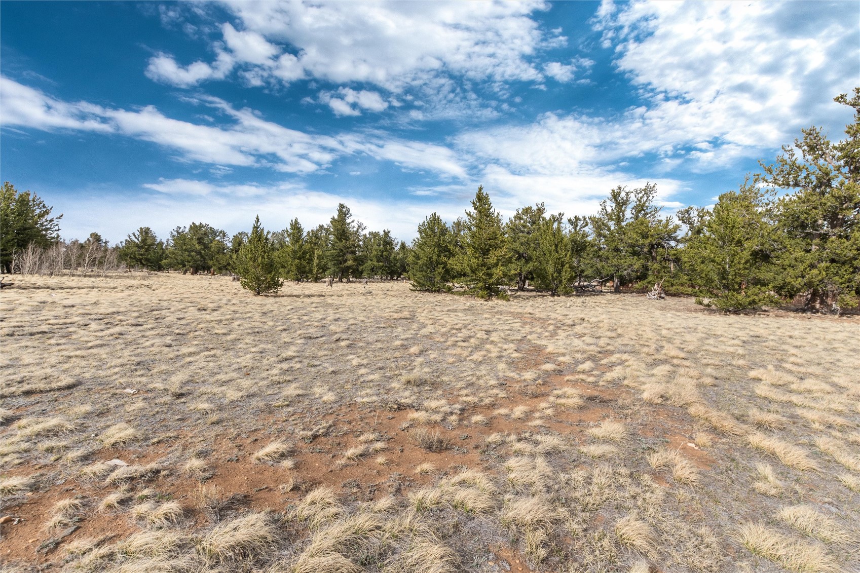 1798 Mullenville Road Fairplay, CO 80440 - Photo 5 of 23 a view of a field with a tree in the background
