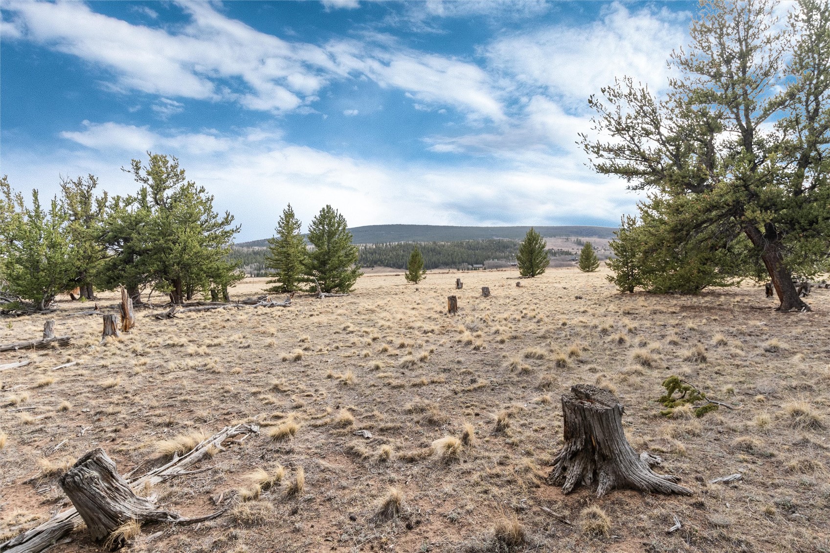 1798 Mullenville Road Fairplay, CO 80440 - Photo 10 of 23 a view of a yard covered in snow
