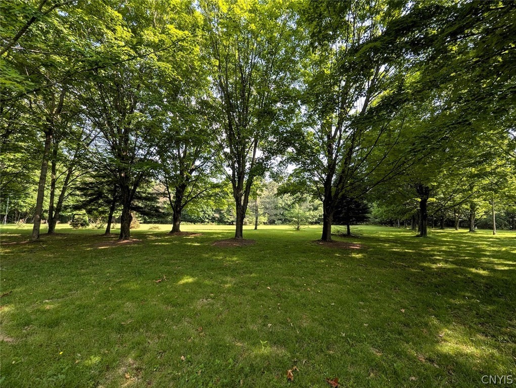 8880 Hemlock Road Wheeler, NY 14809 - Photo 3 of 50