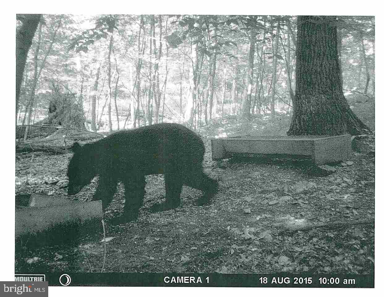 Mountain Road Dillsburg, PA 17019 - Photo 2 of 6 Gallery Image 2