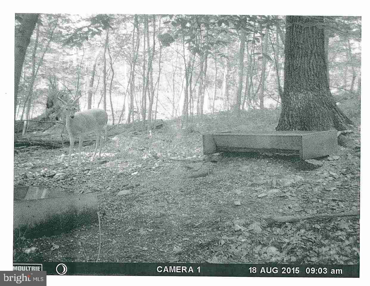 Mountain Road Dillsburg, PA 17019 - Photo 3 of 6 Gallery Image 3