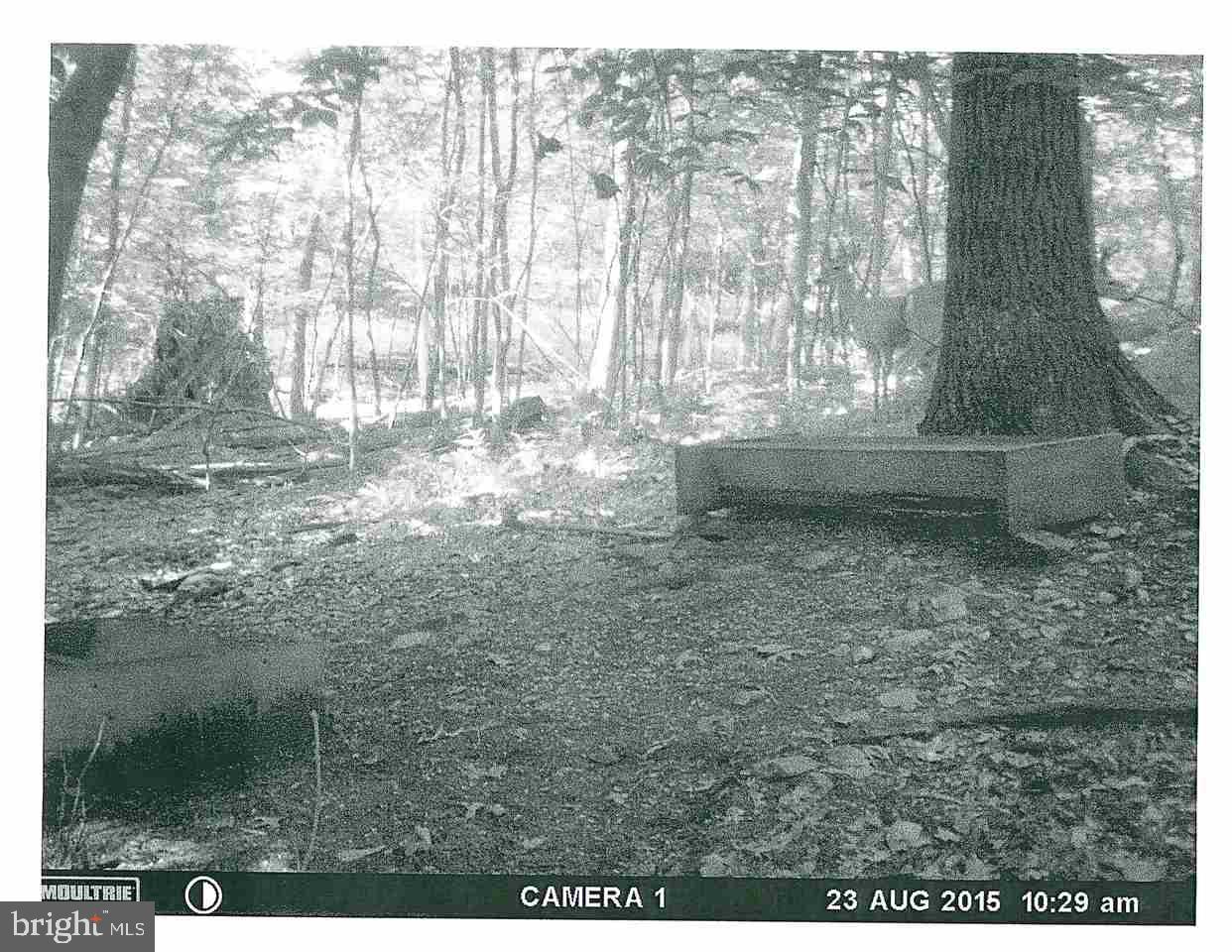 Mountain Road Dillsburg, PA 17019 - Photo 4 of 6 Gallery Image 4