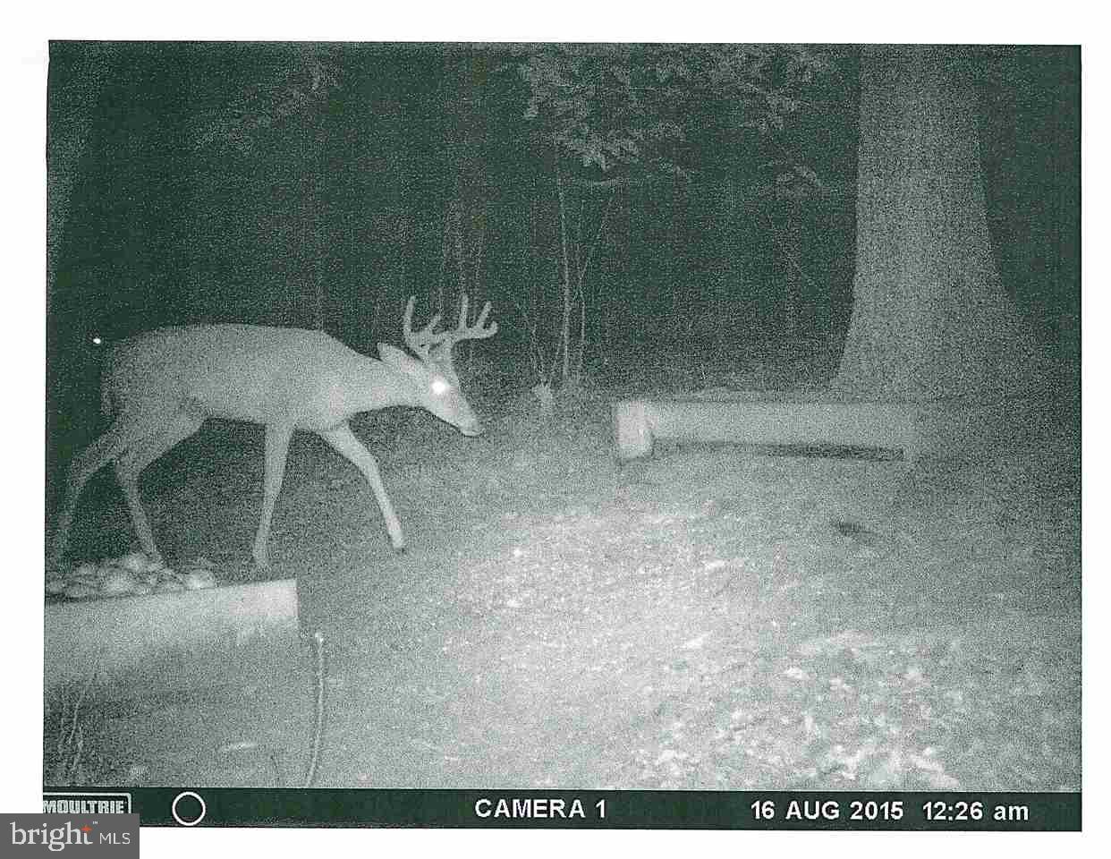 Mountain Road Dillsburg, PA 17019 - Photo 5 of 6 Gallery Image 5
