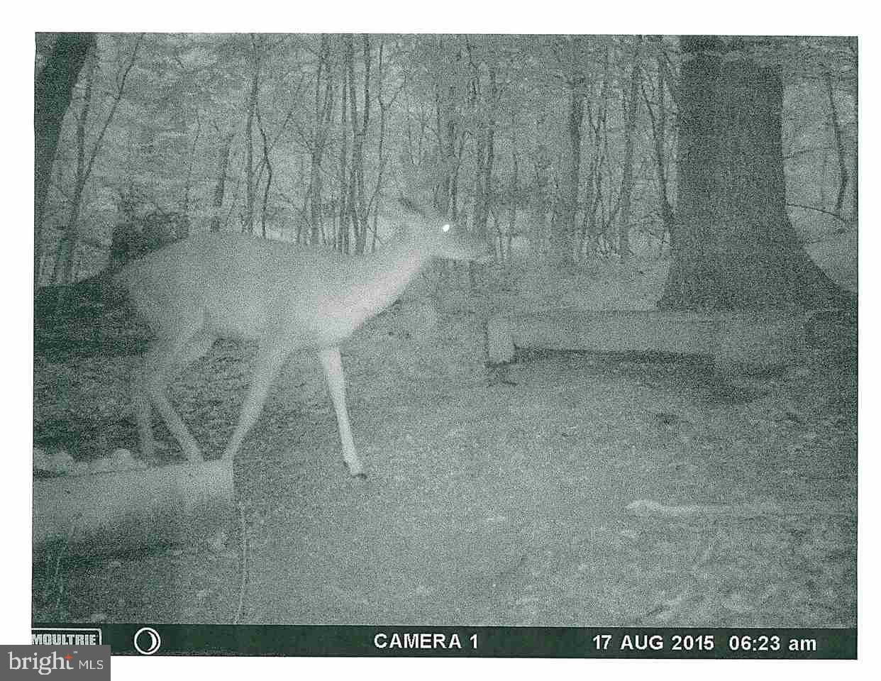 Mountain Road Dillsburg, PA 17019 - Photo 6 of 6 Gallery Image 6
