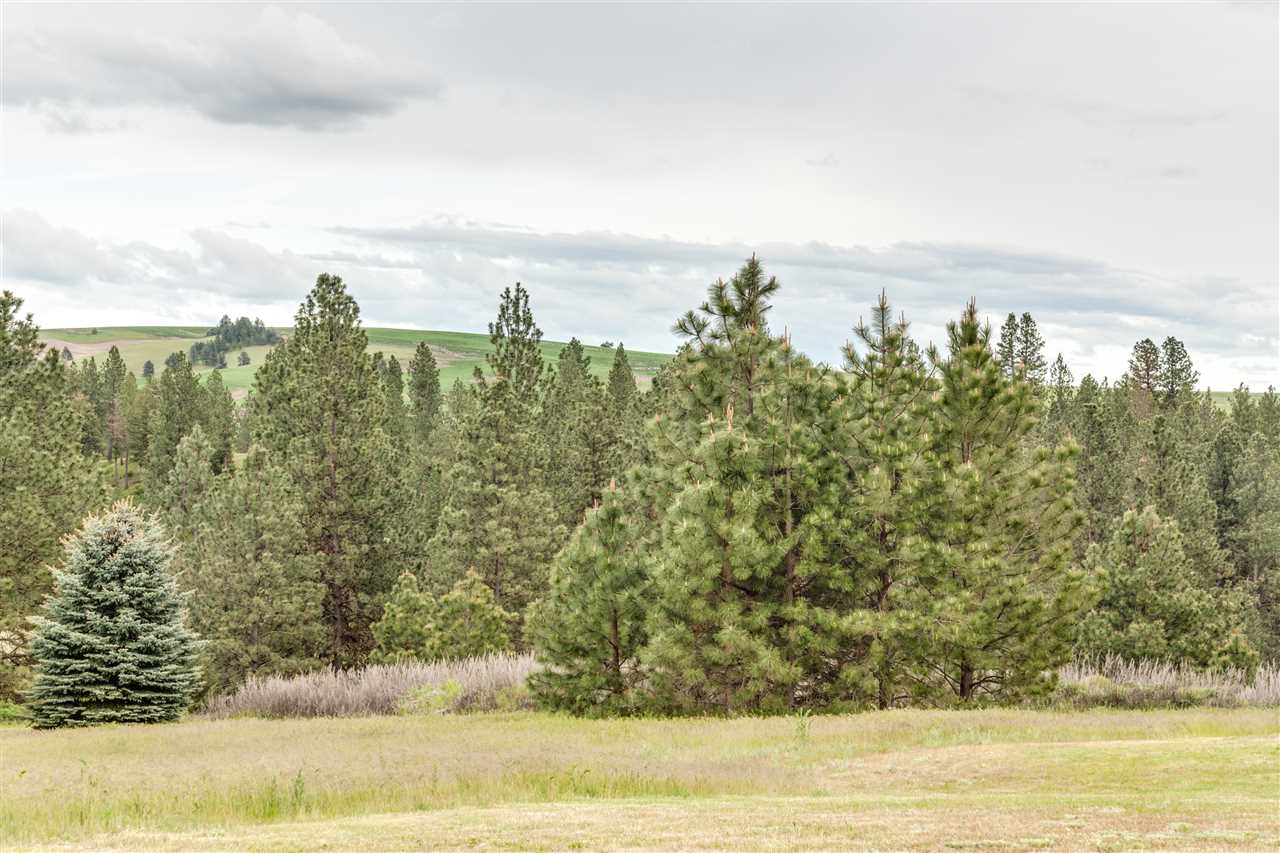 Xx South Valley Chapel Road Spokane, WA 99223 - Photo 4 of 4 Gallery Image 4