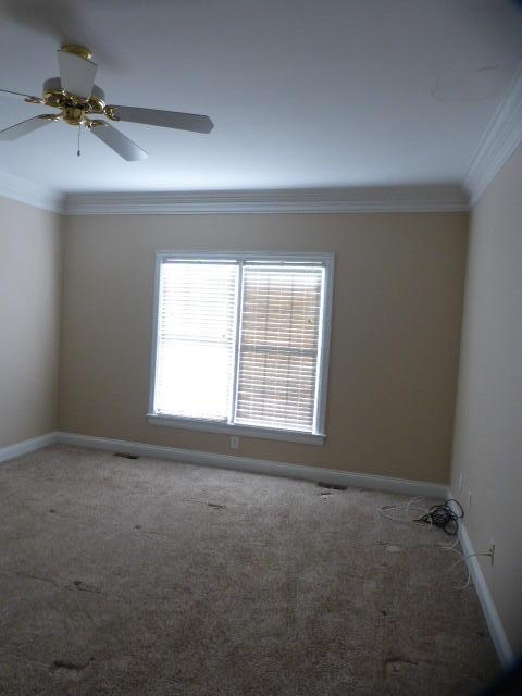 3225 Ridgecane Road Lexington, KY 40513 - Photo 45 of 60 P1070160