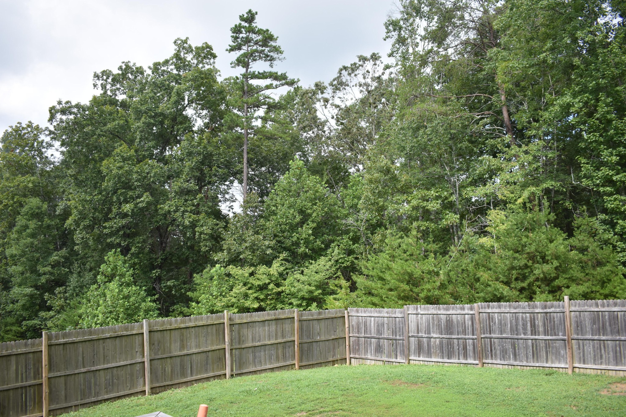 544 Lees Chapel Road Sweetwater, TN 37874 - Photo 29 of 30 Gallery Image 29
