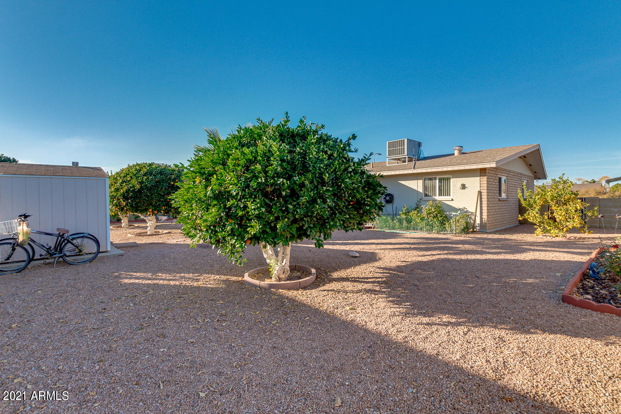 6113 East Adobe Road Mesa, AZ 85205 - Photo 27 of 42 Low maintenance yard