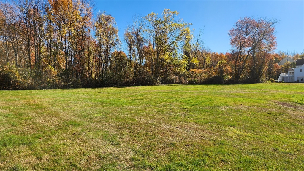 62 Millville Road Mendon, MA 01756 - Photo 6 of 10 a view of a green field with trees in the background