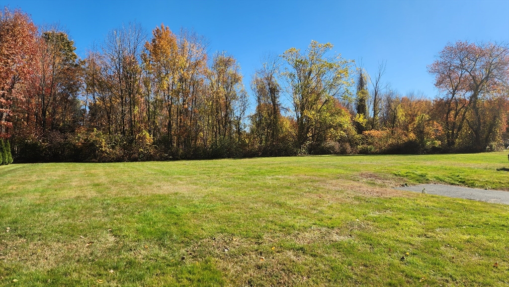 62 Millville Road Mendon, MA 01756 - Photo 7 of 10 a view of outdoor space with trees