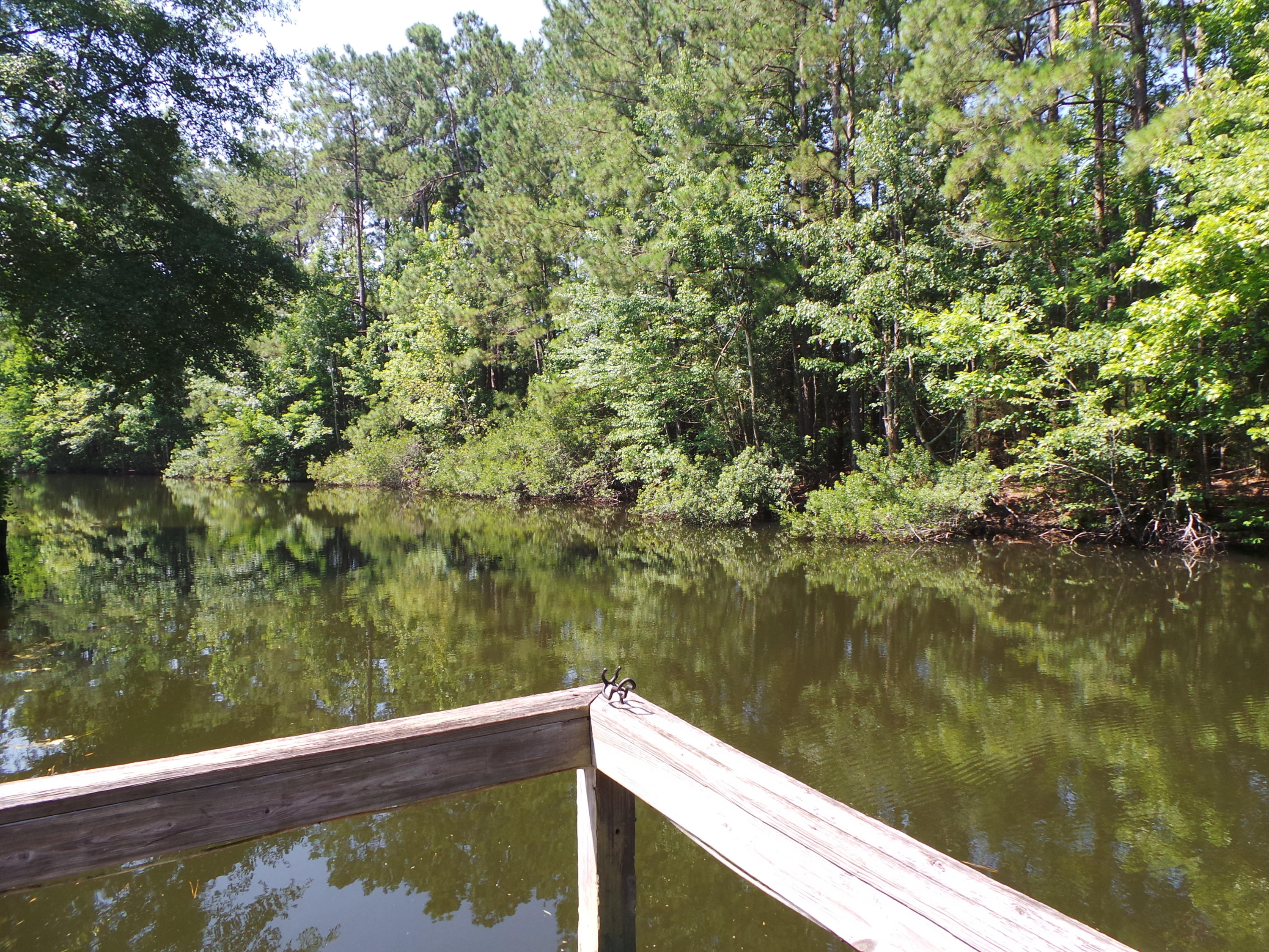 128 Rutledge Drive Eutawville, SC 29048 - Photo 19 of 23 20160625_110618