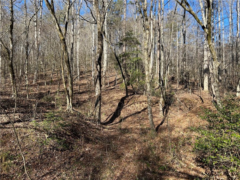 0 Twin River Orchard Road Demorest, GA 30535 - Photo 20 of 63