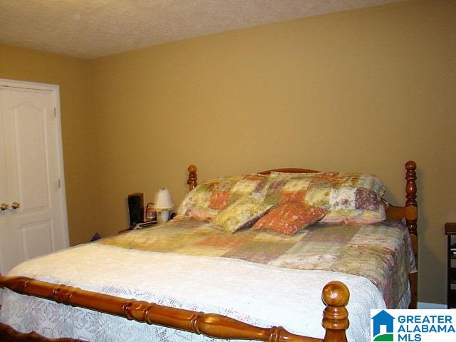 555 Thompson Road Ohatchee, AL 36271 - Photo 12 of 17