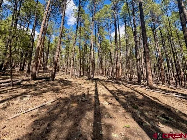 $62,000 | 249 Timber Drive, Bayfield, CO 81122