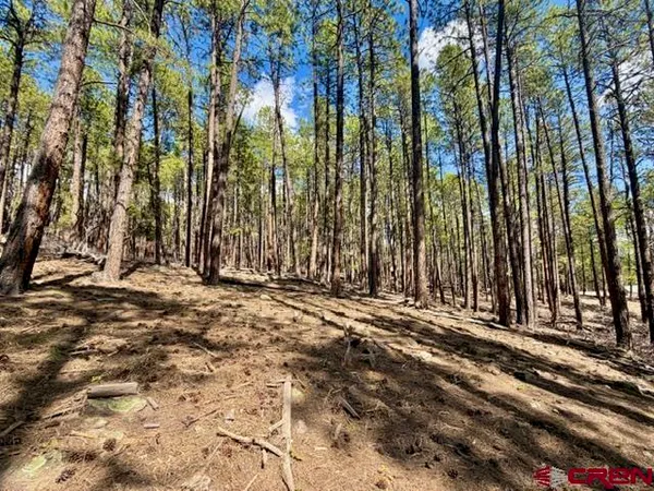 a view of outdoor space with trees