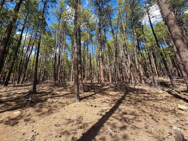 a view of a backyard of the house