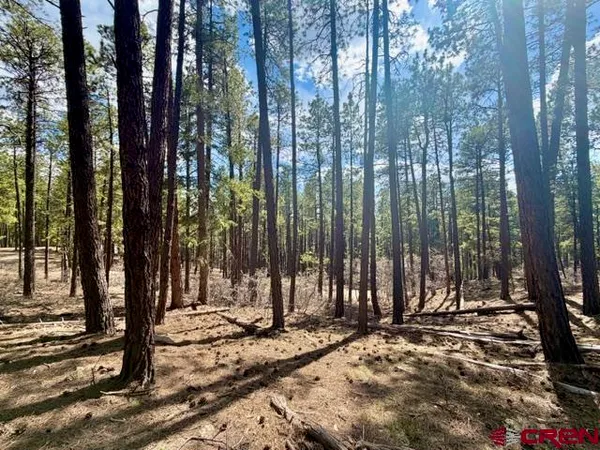 a view of outdoor space with street view
