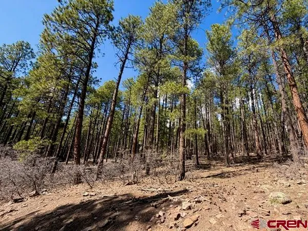 a view of outdoor space with trees