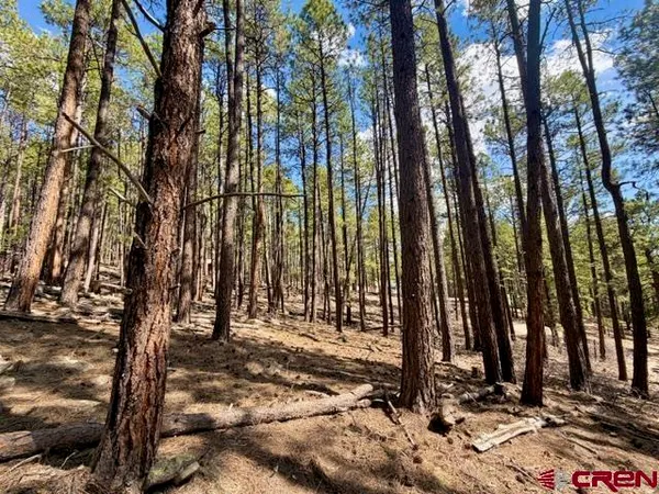 a view of outdoor space with street view