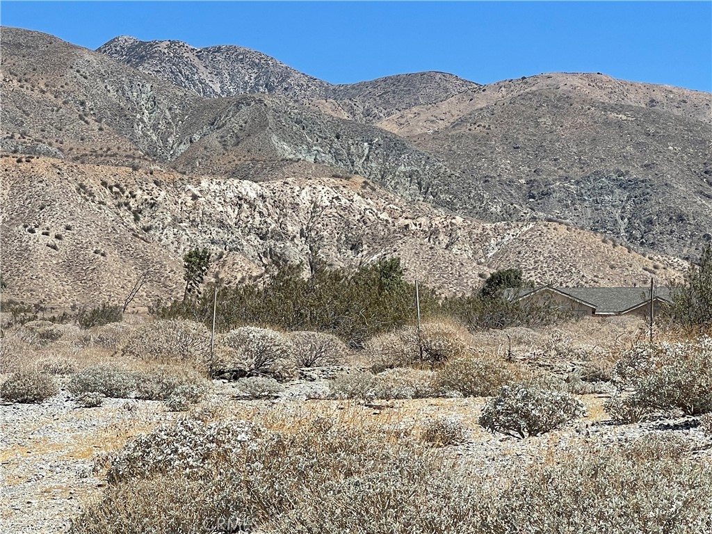 55200 Hatton Place Whitewater, CA 92282 - Photo 9 of 17 a view of a dry yard with mountains in the background