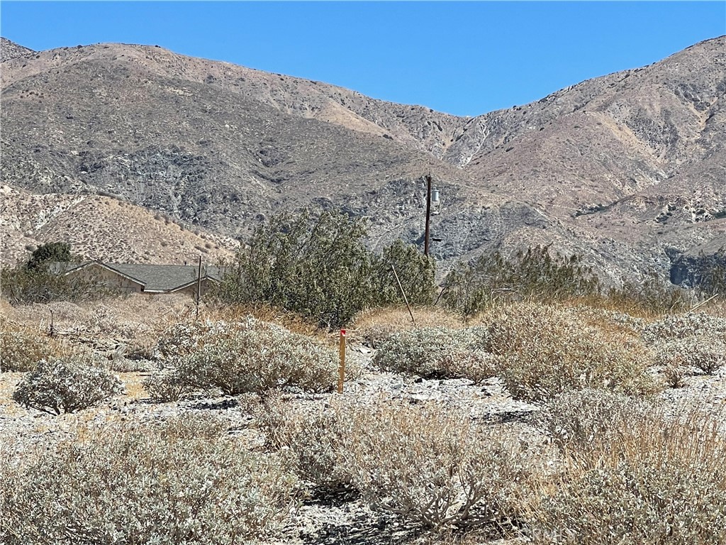 55200 Hatton Place Whitewater, CA 92282 - Photo 10 of 17 a view of a dry yard with mountains in the background
