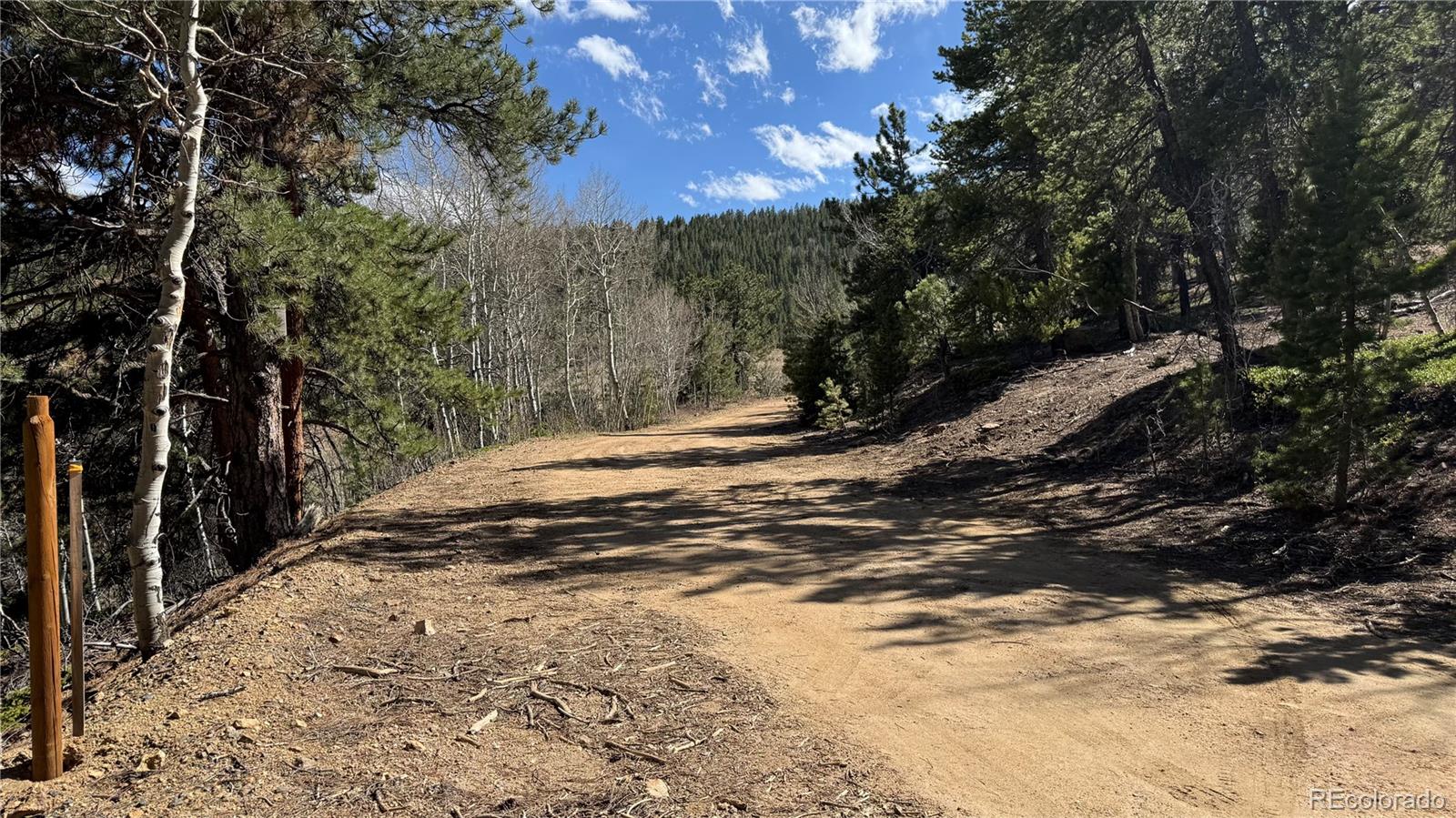 5 Pewabic Mine Road Central City, CO 80427 - Photo 4 of 10 a view of a yard with trees