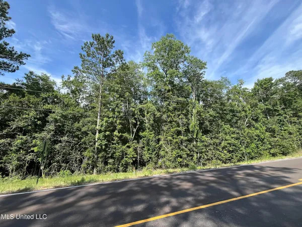 $117,500 | 63 N Highway, Leakesville, MS 39451