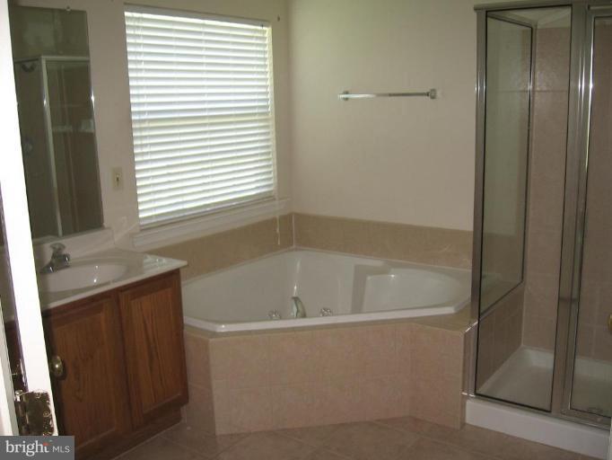 78 Spring Knoll Court Colora, MD 21917 - Photo 7 of 8 Master Bath