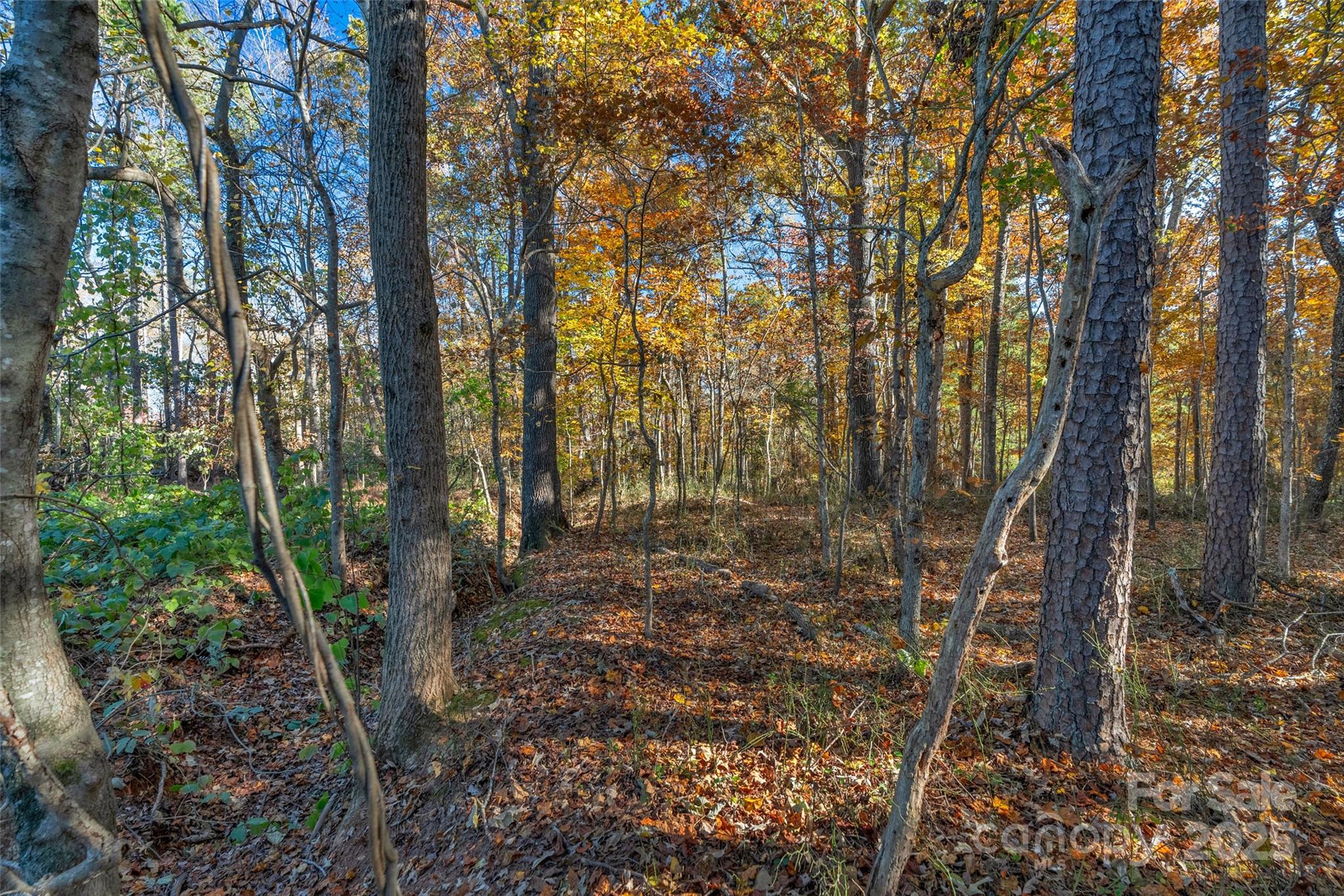 0 Bud Davis Road, Unit 6 Vale, NC 28168 - Photo 15 of 30 a view of an outdoor space