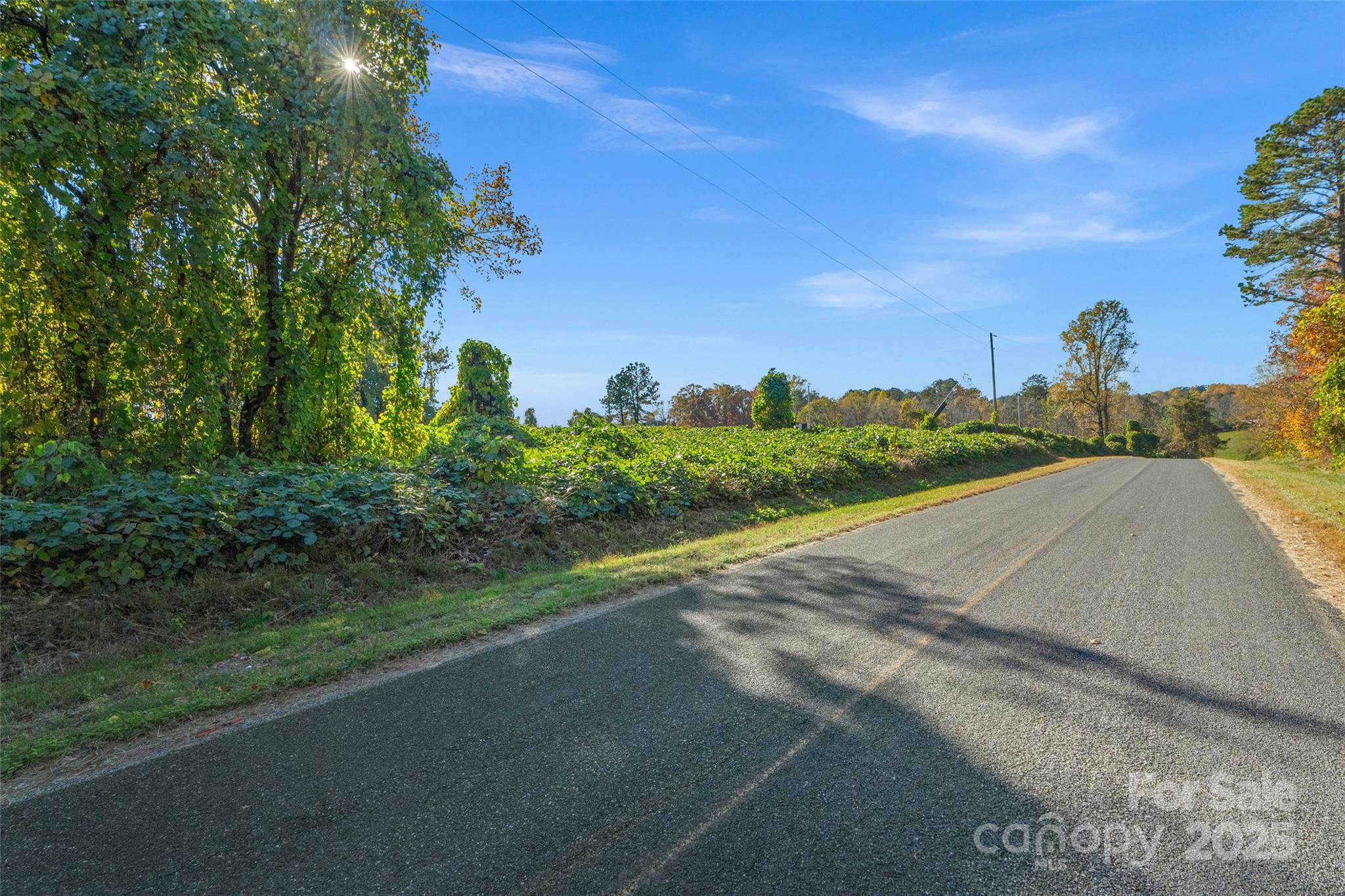0 Bud Davis Road, Unit 6 Vale, NC 28168 - Photo 17 of 30 a view of a road from a yard