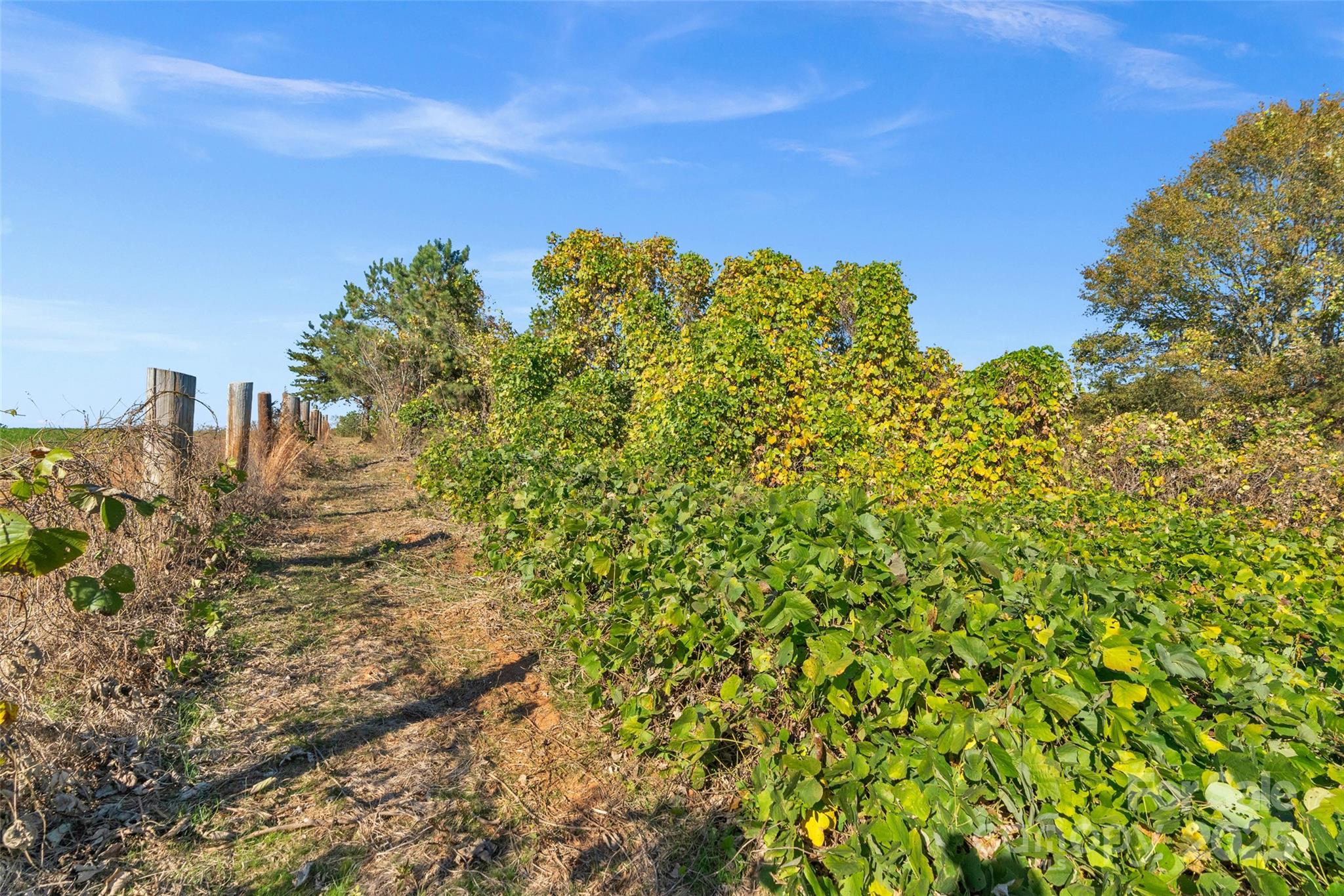 0 Bud Davis Road, Unit 6 Vale, NC 28168 - Photo 19 of 30 a view of a large yard with lots of green space