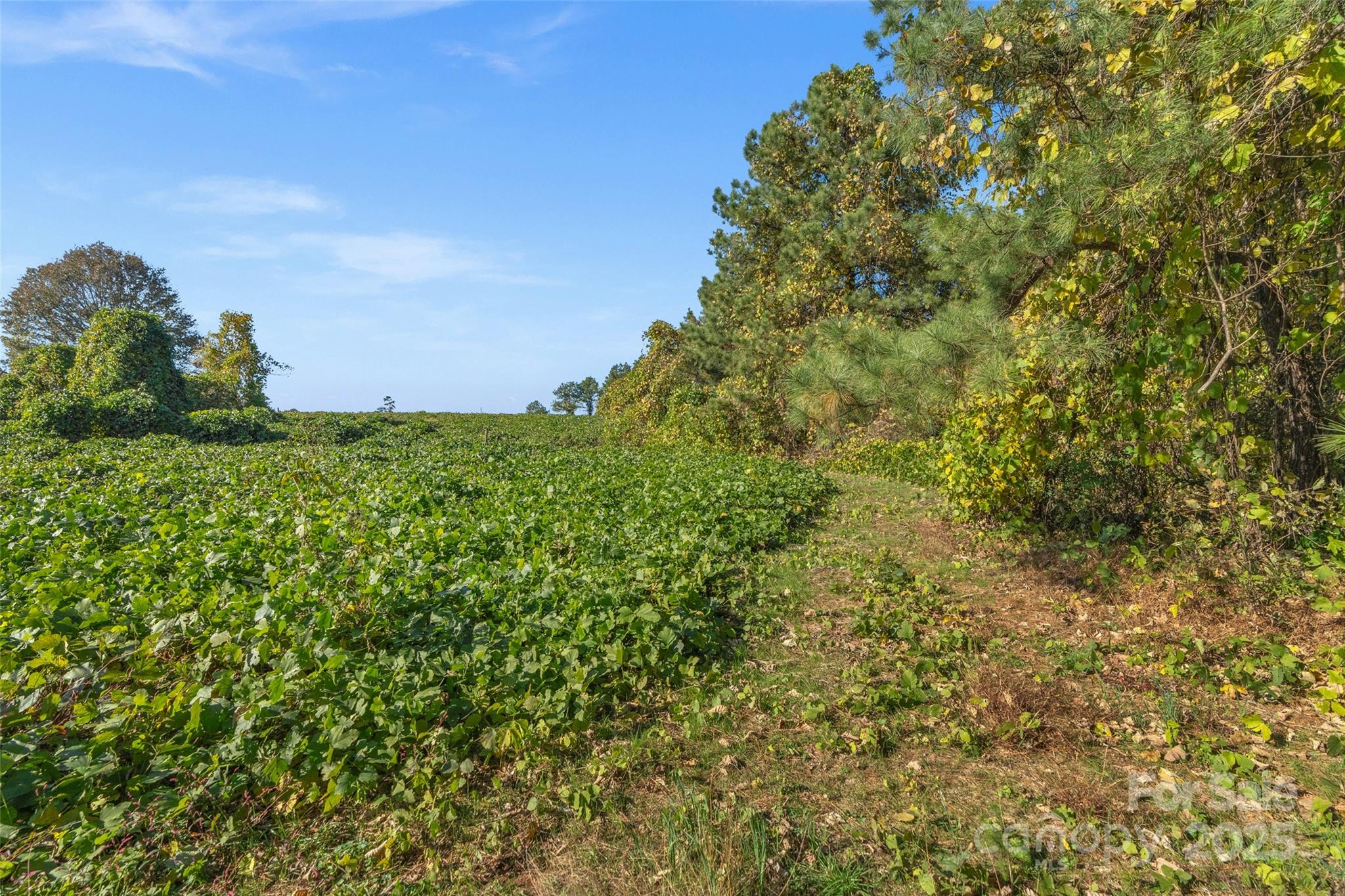 0 Bud Davis Road, Unit 6 Vale, NC 28168 - Photo 21 of 30 a view of a green field
